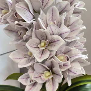 Csónakorchidea dekoráció - otthon & életmód - dekoráció - asztal és polc dekoráció - asztaldísz - Meska.hu