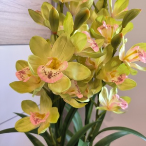 Mű csónakorchidea dekoráció - otthon & életmód - dekoráció - virágdísz és tartó - virágbox, virágdoboz - Meska.hu
