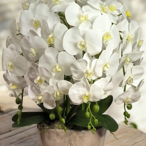 Fehér orchidea dekoráció kerámia kaspóban - Meska.hu