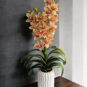 Cymbidium orchidea dekoráció , Otthon & Életmód, Virágdekoráció, Virágdíszek, Virágdísz kaspóban, Virágkötés, MESKA