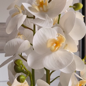 Lepke orchidea dekoráció kerámia kaspóban - otthon & életmód - virágdekoráció - virágdíszek - virágdísz kaspóban - Meska.hu