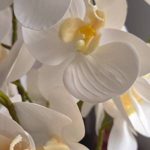 Lepke orchidea dekoráció kerámia kaspóban - otthon & életmód - virágdekoráció - virágdíszek - virágdísz kaspóban - Meska.hu