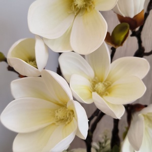 Magnólia dekoráció kerámia kaspóban  - otthon & életmód - virágdekoráció - virágdíszek - asztali virágdísz - Meska.hu