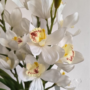 Mű csónakorchidea dekoráció - otthon & életmód - virágdekoráció - virágok - virágbox - Meska.hu