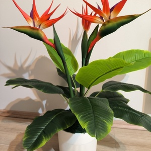 Mű papagájvirág dekoráció II., Otthon & Életmód, Virágdekoráció, Virágdíszek, Virágdísz kaspóban, Virágkötés, MESKA