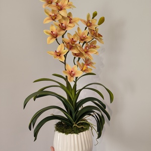 Csónakorchidea dekoráció , Otthon & Életmód, Virágdekoráció, Virágdíszek, Virágdísz kaspóban, Virágkötés, MESKA