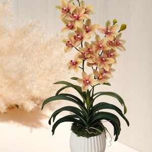 Csónakorchidea dekoráció  - otthon & életmód - virágdekoráció - virágdíszek - virágdísz kaspóban - Meska.hu