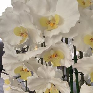 Pillekosbor orchidea dekoráció kerámia kaspóban - otthon & életmód - dekoráció - asztal és polc dekoráció - asztaldísz - Meska.hu