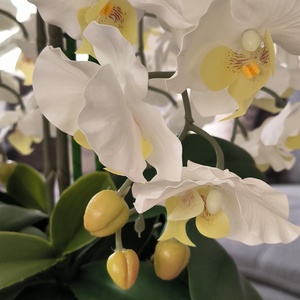 Pillekosbor orchidea dekoráció kerámia kaspóban - otthon & életmód - dekoráció - asztal és polc dekoráció - asztaldísz - Meska.hu