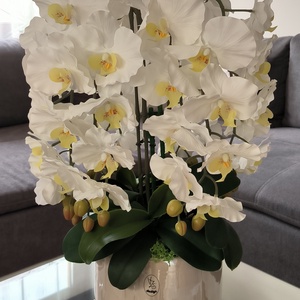 Pillekosbor orchidea dekoráció kerámia kaspóban, Otthon & Életmód, Dekoráció, Asztal és polc dekoráció, Asztaldísz, Virágkötés, MESKA