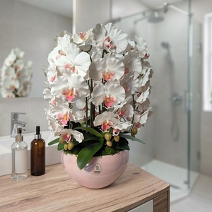 Pillekosbor orchidea dekoráció kerámia kaspóban - otthon & életmód - dekoráció - asztal és polc dekoráció - asztaldísz - Meska.hu
