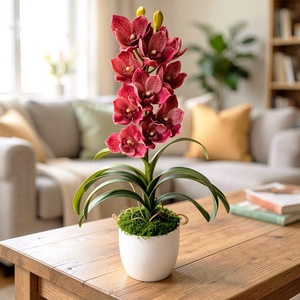 Cymbidium csónakorchidea dekoráció kerámia kaspóban  - Meska.hu