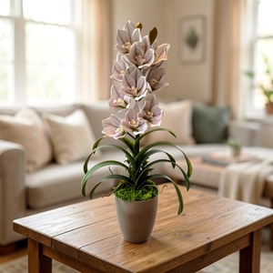Cymbidium csónakorchidea dekoráció kerámia kaspóban  - Meska.hu
