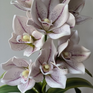 Cymbidium csónakorchidea dekoráció kerámia kaspóban  - otthon & életmód - virágdekoráció - virágdíszek - virágdísz kaspóban - Meska.hu