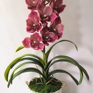 Cymbidium csónakorchidea dekoráció kerámia kaspóban  - otthon & életmód - virágdekoráció - virágdíszek - virágdísz kaspóban - Meska.hu