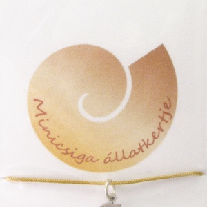 Ezüst fóka medál - Minicsiga állatkertje - ékszer - nyaklánc - medál - Meska.hu