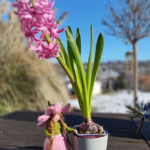 Tűnemezelt Jácint tündér - Meska.hu