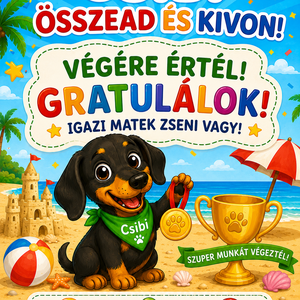 Számolós tanulókártyák, játékos számolás - játék & sport - készségfejlesztő és logikai játék - oktató játékok - Meska.hu
