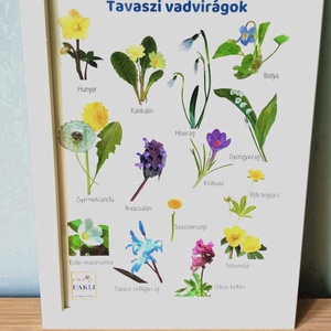 Tavaszi vadvirágok plakát - otthon & életmód - babaszoba, gyerekszoba - babaszoba kép - Meska.hu