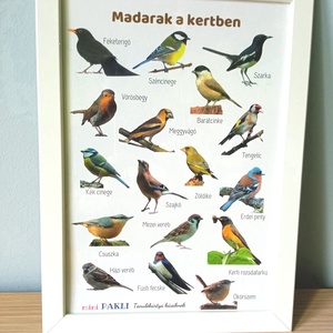 Madarak a kertben plakát - otthon & életmód - babaszoba, gyerekszoba - babaszoba kép - Meska.hu