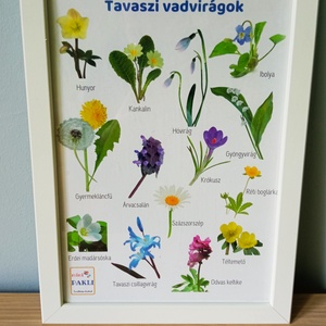 Tavaszi vadvirágok - otthon & életmód - dekoráció - kép & falikép - plakát - Meska.hu