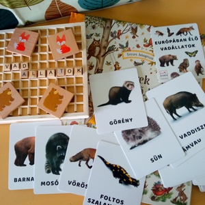 Európában élő vadállatok tanulókártya - játék & sport - készségfejlesztő és logikai játék - oktató játékok - Meska.hu