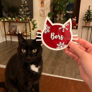 Egyedi Kisállat Karácsonyfadísz Névvel / Custom Made Pet Ornament - karácsony - karácsonyi lakásdekoráció - karácsonyfadíszek - Meska.hu