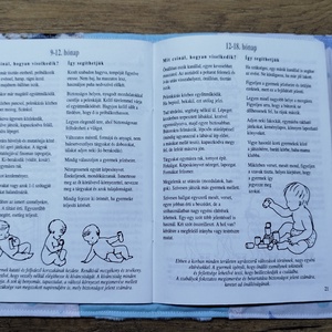 textil gyermek egészségügyi kiskönyv borító    A kis herceg  mintával - baba - mama - babaemlékek - egészségügyi kiskönyv borító - Meska.hu