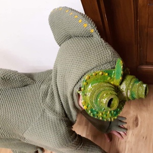 Kaméleon jelmez - ruha & divat - jelmez & álarc - jelmez - Meska.hu