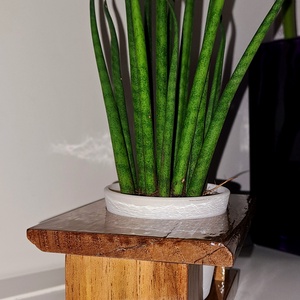 Dísznövény tartó - otthon & életmód - dekoráció - virágdísz és tartó - virágállvány - Meska.hu