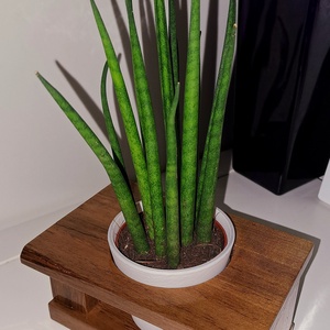 Dísznövény tartó - otthon & életmód - dekoráció - virágdísz és tartó - virágállvány - Meska.hu