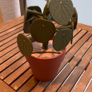 Választónövény  - Meska.hu