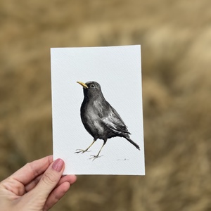 Eredeti akvarell madár festmény, feketerigó - művészet - festmény - akvarell - Meska.hu