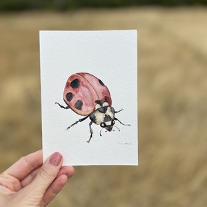 Eredeti akvarell katica festmény - művészet - festmény - akvarell - Meska.hu