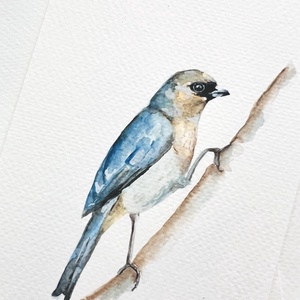 Eredeti akvarell madár festmény - művészet - festmény - akvarell - Meska.hu