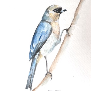 Eredeti akvarell madár festmény, Művészet, Festmény, Akvarell, Festészet, MESKA