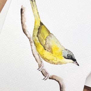 Eredeti akvarell madár festmény, Művészet, Festmény, Akvarell, Festészet, MESKA