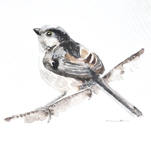 Eredeti akvarell madár festmény, Művészet, Festmény, Akvarell, Festészet, MESKA