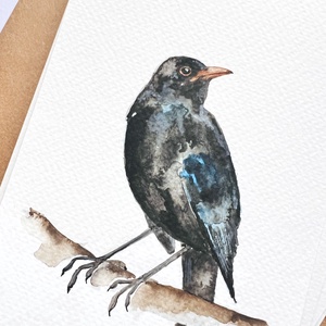 Eredeti akvarell feketerigó madár festmény - művészet - festmény - akvarell - Meska.hu