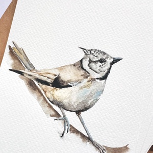 Eredeti akvarell madár festmény - művészet - festmény - akvarell - Meska.hu