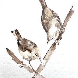 Eredeti akvarell vízirigó pár festmény, Művészet, Festmény, Akvarell, Festészet, MESKA