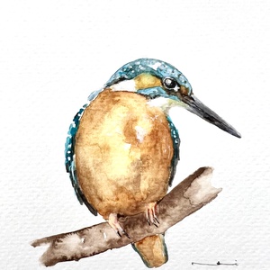 Eredeti akvarell jégmadár madár festmény, Művészet, Festmény, Akvarell, Festészet, MESKA