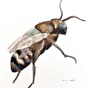 Eredeti akvarell méhecske festmény, Művészet, Festmény, Akvarell, Festészet, MESKA