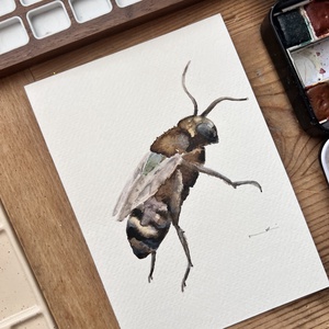 Eredeti akvarell méhecske festmény - művészet - festmény - akvarell - Meska.hu