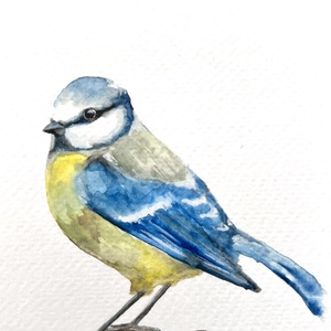 Eredeti akvarell cinke madár festmény, Művészet, Festmény, Akvarell, Festészet, MESKA