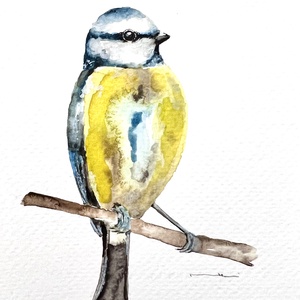 Eredeti akvarell cinke madár festmény, Művészet, Festmény, Akvarell, Festészet, MESKA