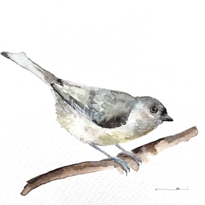 Eredeti akvarell cinege madár festmény, Művészet, Festmény, Akvarell, Festészet, MESKA