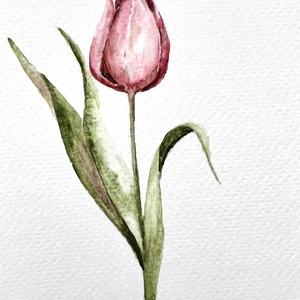 Eredeti akvarell tulipán virág  festmény - művészet - festmény - akvarell - Meska.hu