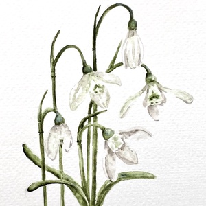 Eredeti akvarell  hóvirág  festmény, Művészet, Festmény, Akvarell, Festészet, MESKA