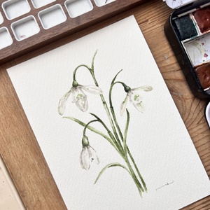 Eredeti akvarell  hóvirág  festmény - művészet - festmény - akvarell - Meska.hu